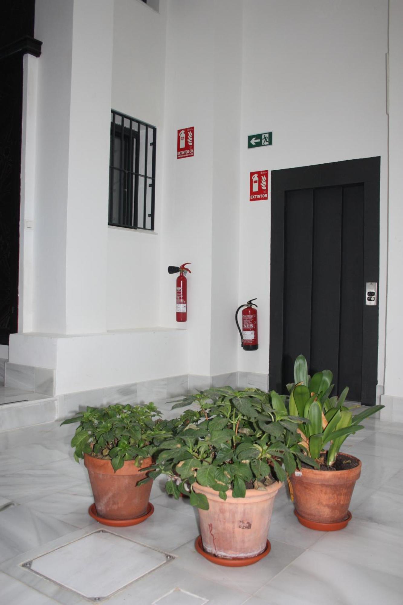 San Luis Downtown & Pool Apartment Sevilla Eksteriør bilde